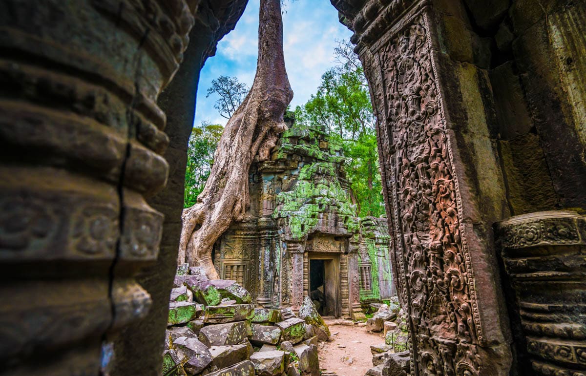 Massive tree roots descend over a doorway at Ta Prohm near Siem Reap, Cambodia.